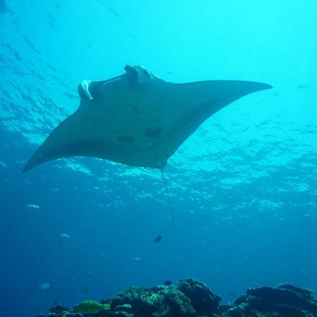 Отель Umi No Nakama Ishigaki  Экстерьер фото