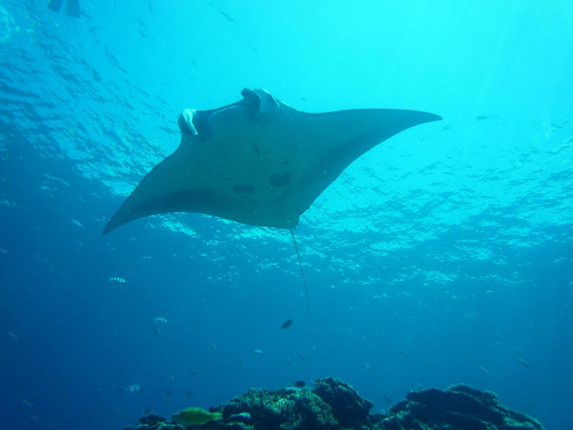 Отель Umi No Nakama Ishigaki  Экстерьер фото